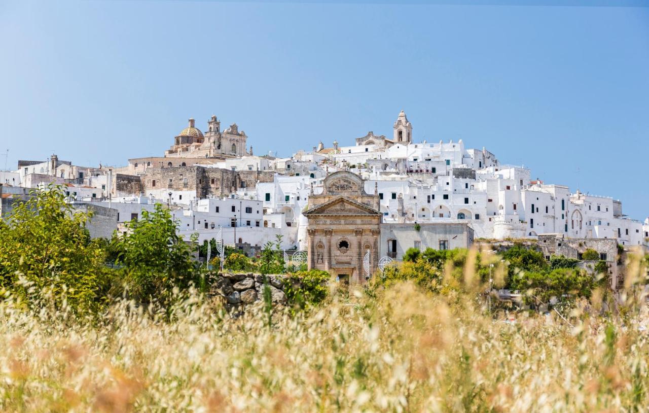 Rocco Forte Masseria Torre Maizza Savelletri Dış mekan fotoğraf