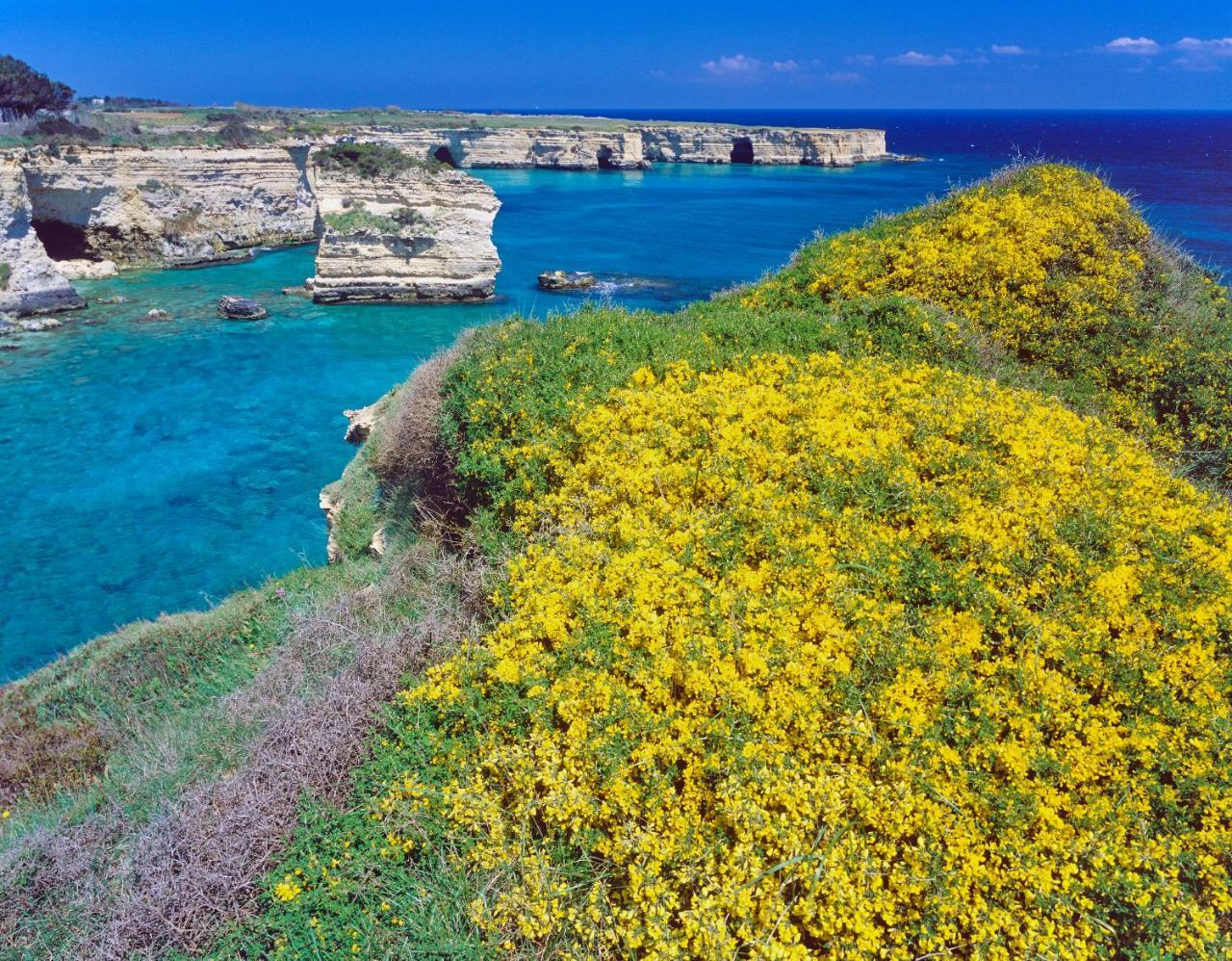 Rocco Forte Masseria Torre Maizza Savelletri Dış mekan fotoğraf